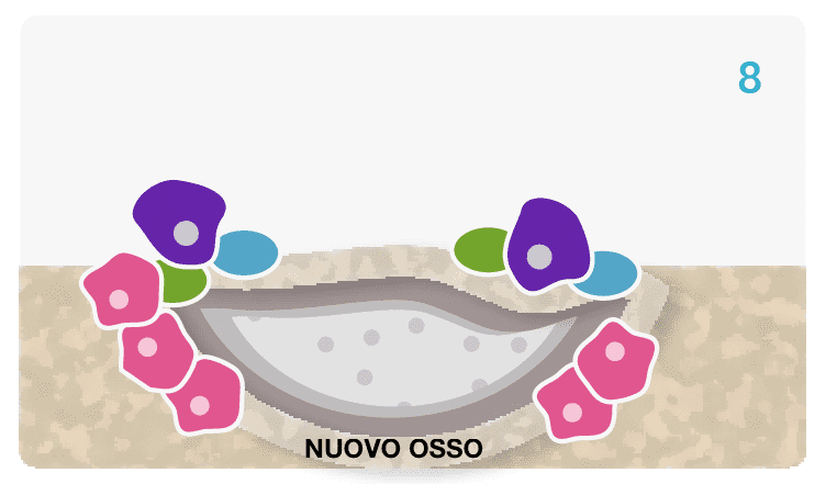 This image for Image Layouts addon