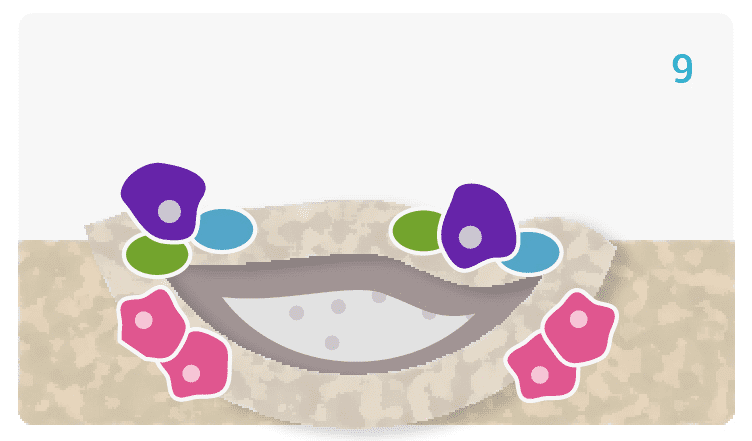 This image for Image Layouts addon